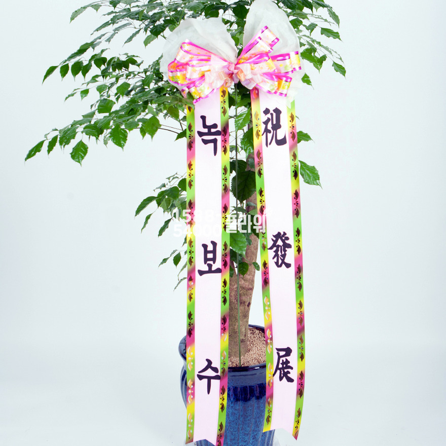 상세이미지