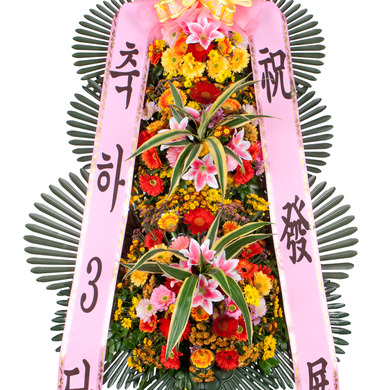 10%적립★축하3단3 기본형