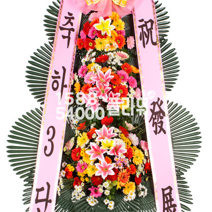 10%적립★축하3단(기본형)