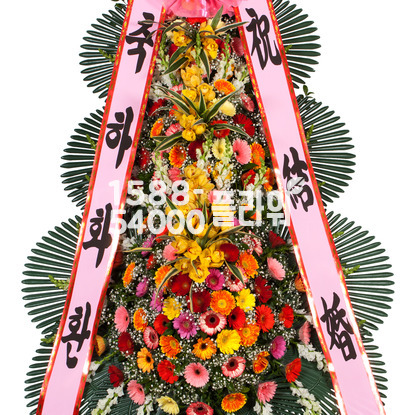비회원상품★3단축하 고급Special