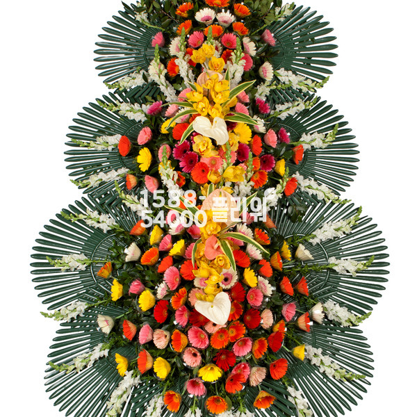 15%특별적립★축하3단 최고급