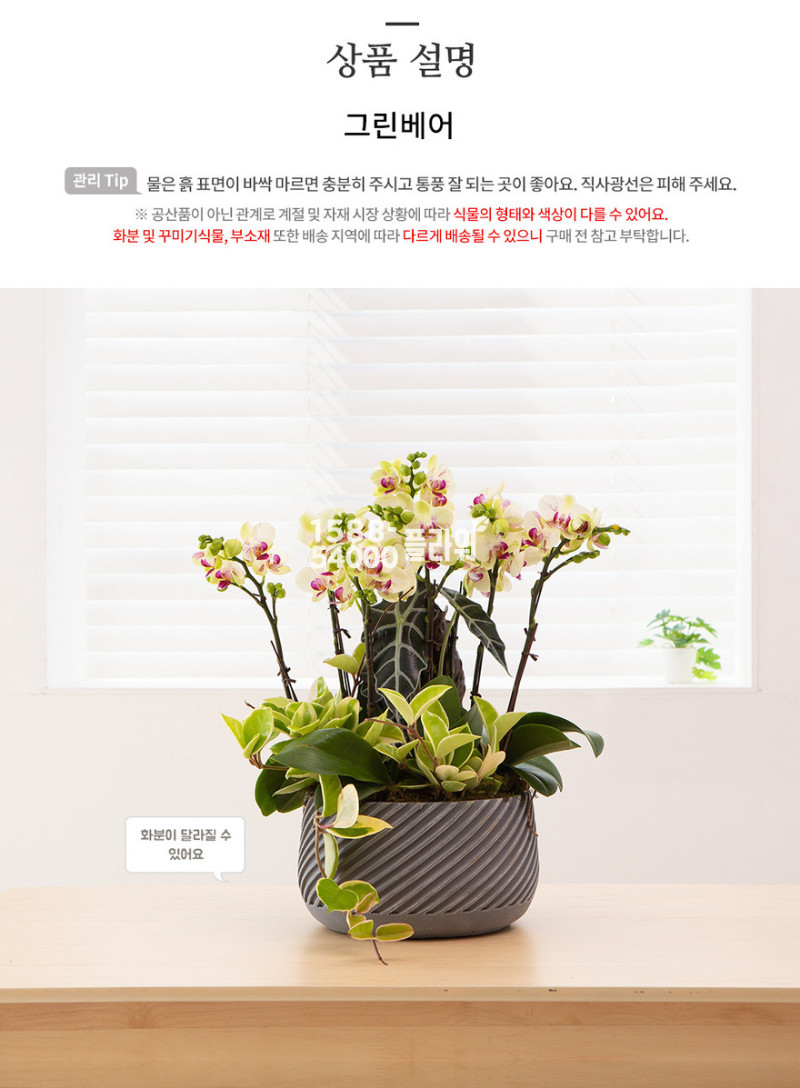 상세이미지