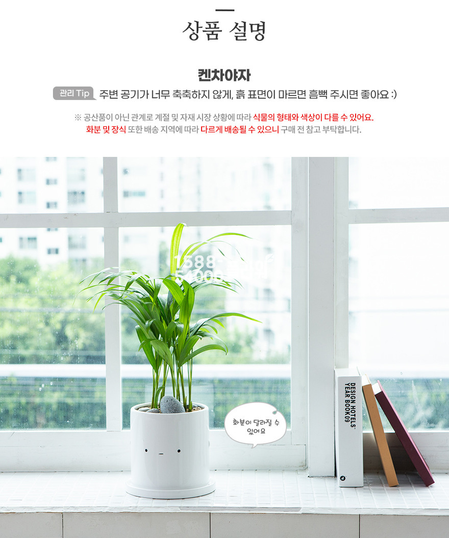 상세이미지