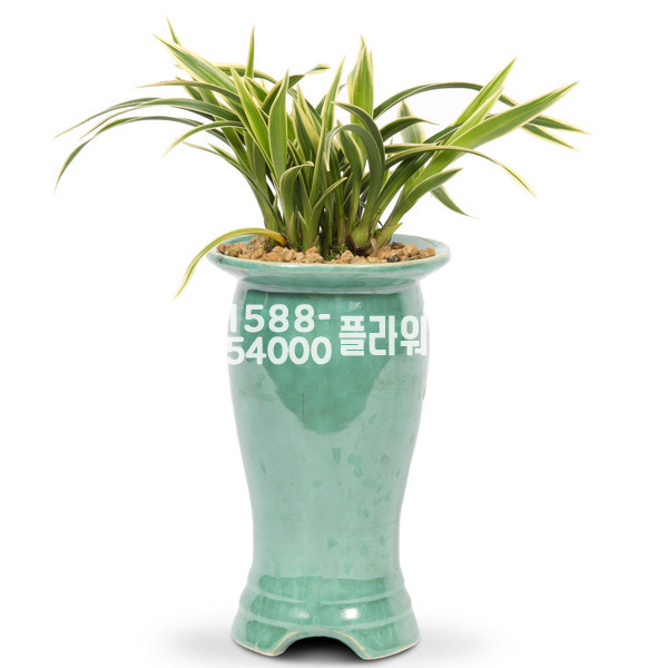 대국 청자사기분⊙
