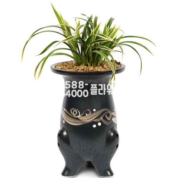 대국(고급분)⊙