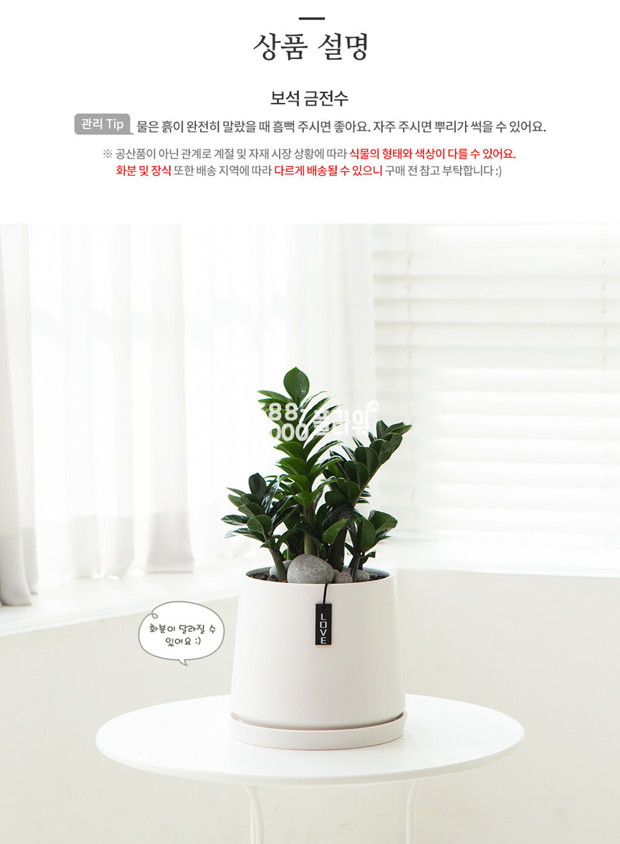 상세이미지