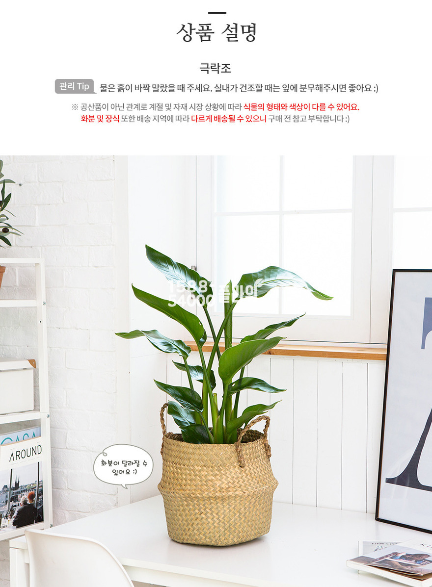 상세이미지