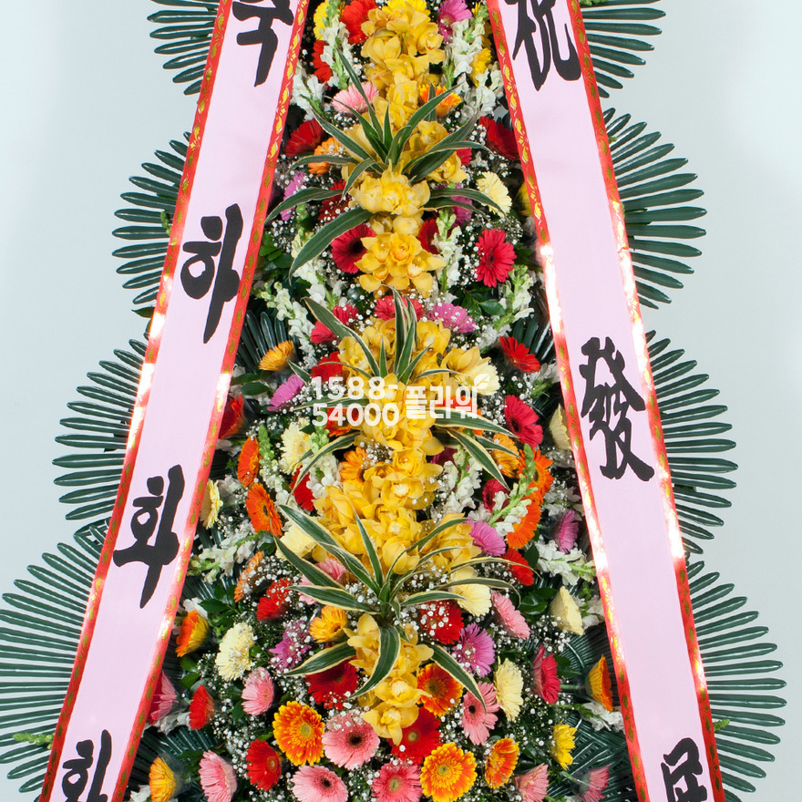상세이미지