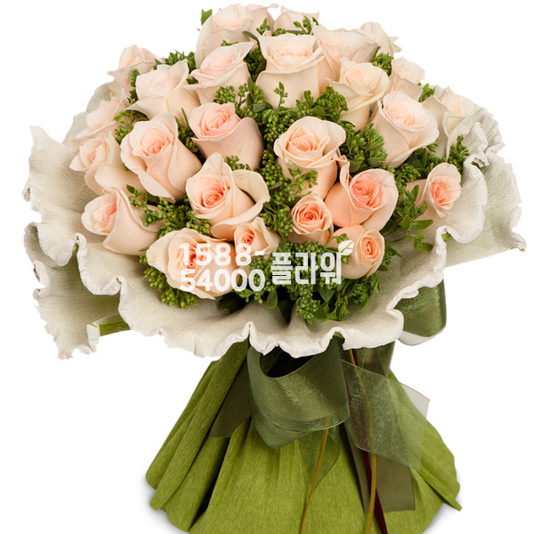 부르트