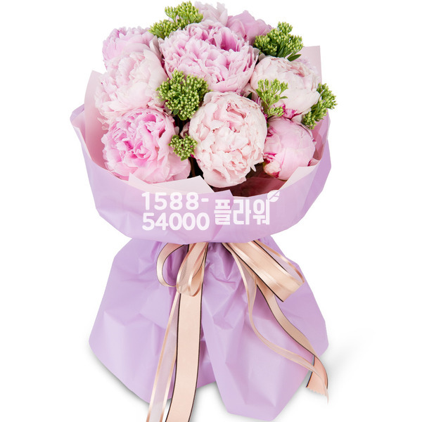 내마음 가득히