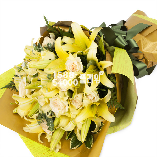 축하합니다