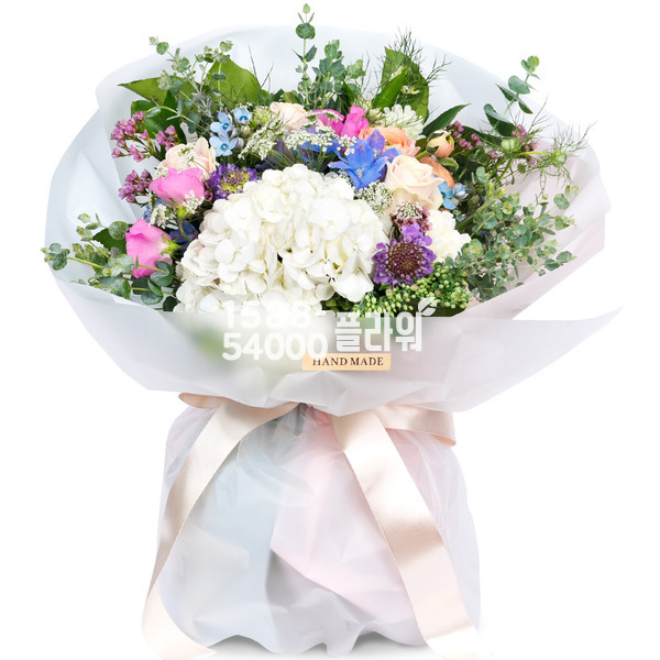 해맑은 그대