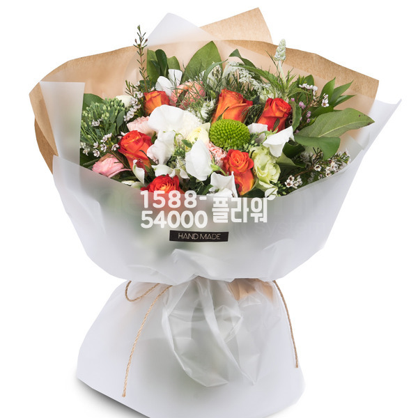 그대만 바라봅니다
