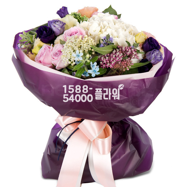 나의마음 나의사랑