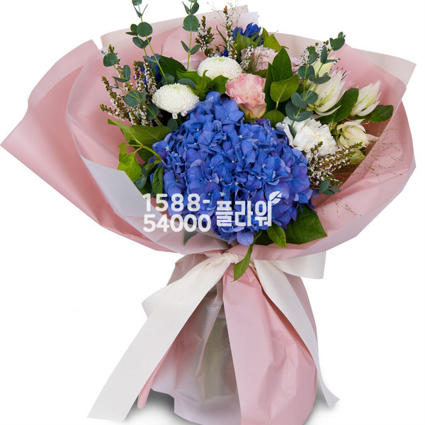 청춘을 당신과 함께