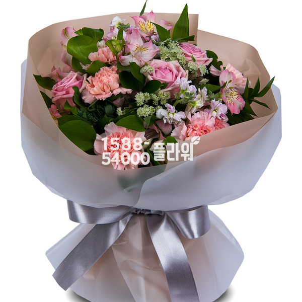 당신만을 사랑합니다