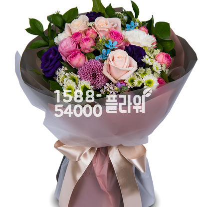 모던스타일혼합3♥인기