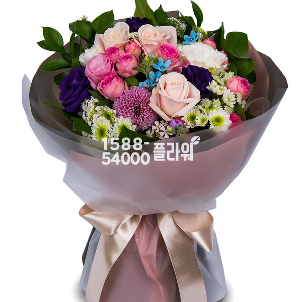 모던스타일혼합3♥인기
