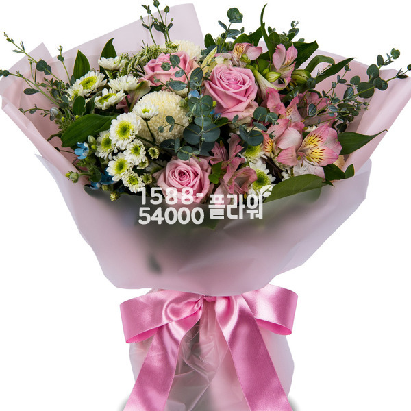 모던스타일혼합4