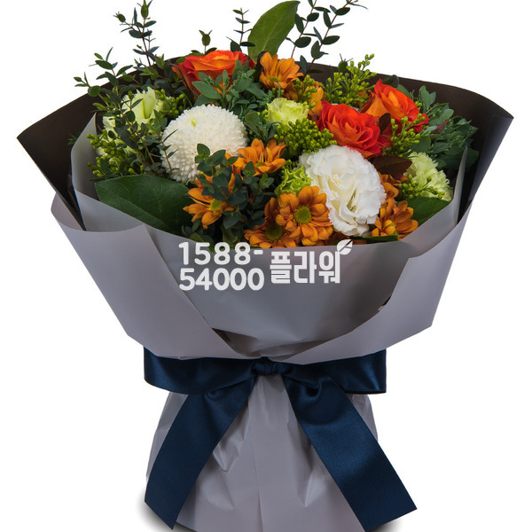 모던스타일혼합5
