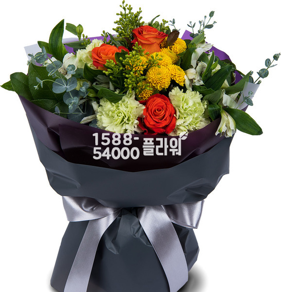 모던스타일혼합1