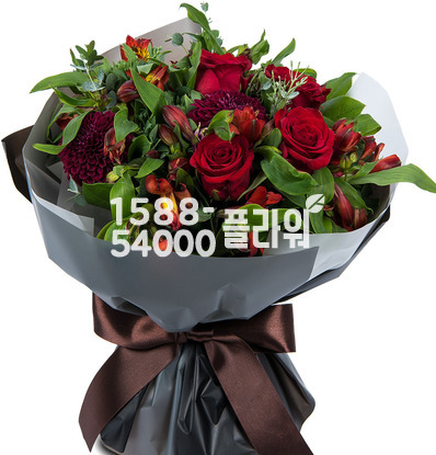 모던스타일혼합2