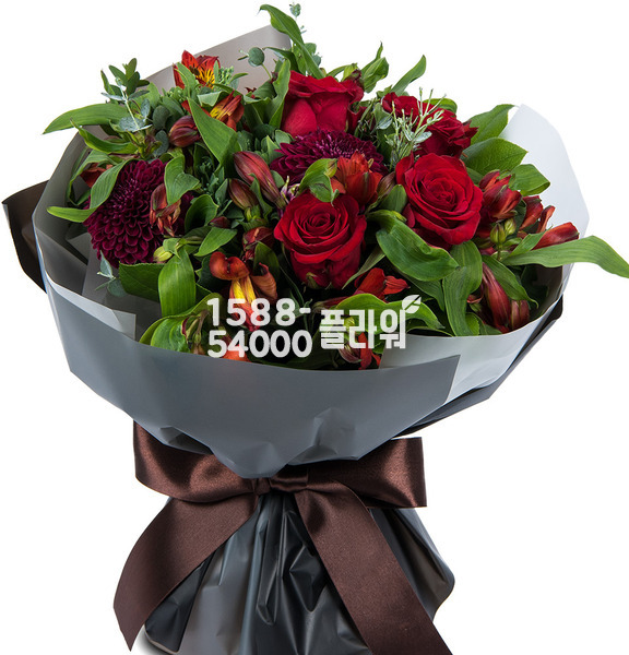 모던스타일혼합2
