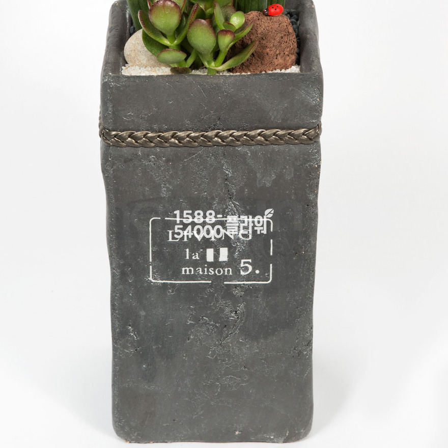 상세이미지