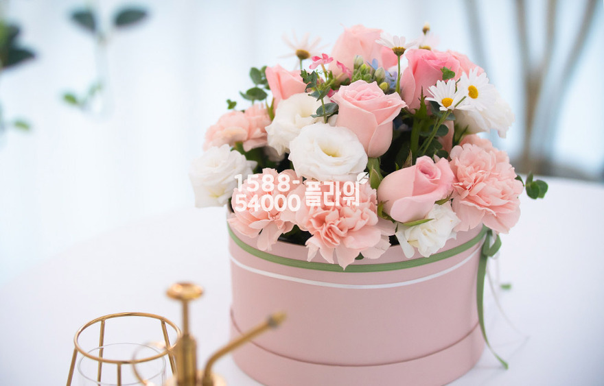 상세이미지