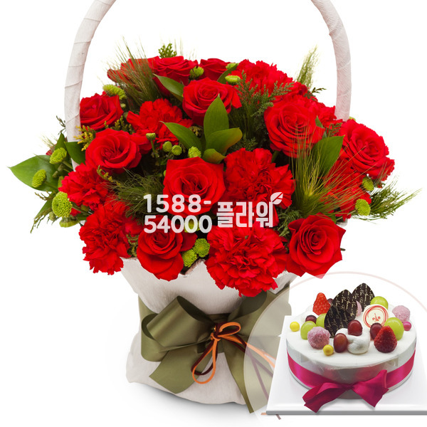 카네이션케잌8