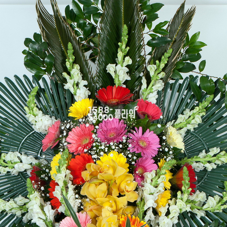상세이미지