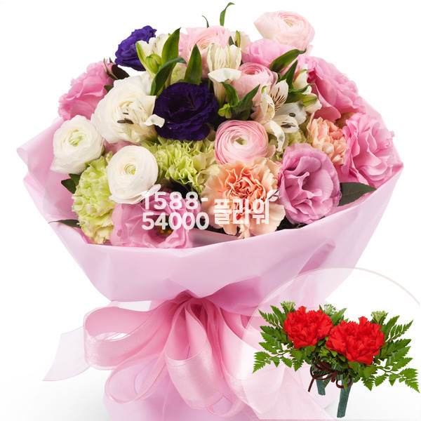 카네이션혼합꽃다발(코사지2개무료)