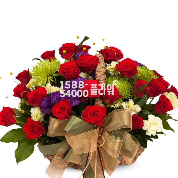 사랑의 기쁨