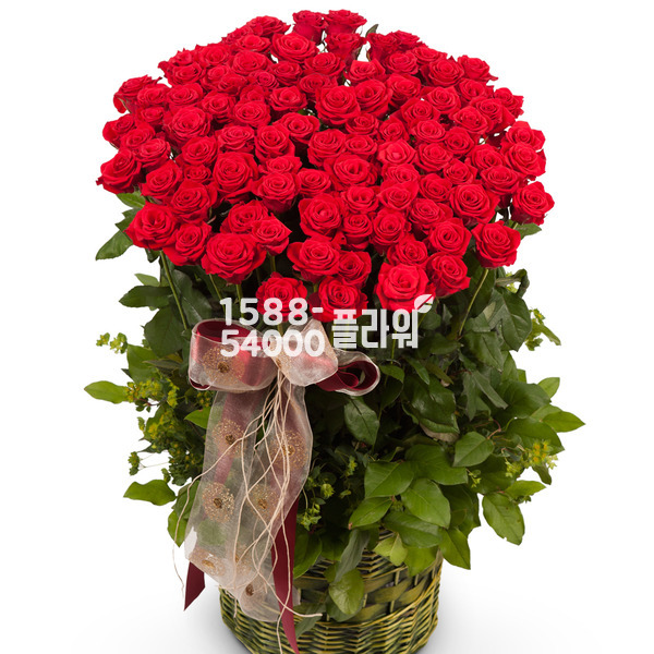 사랑하는 그대에게(75~80송이)