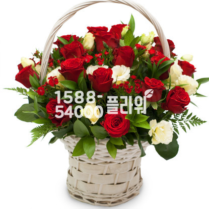 사랑으로♥