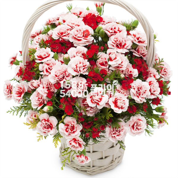 카네이션♥엄마사랑해요!