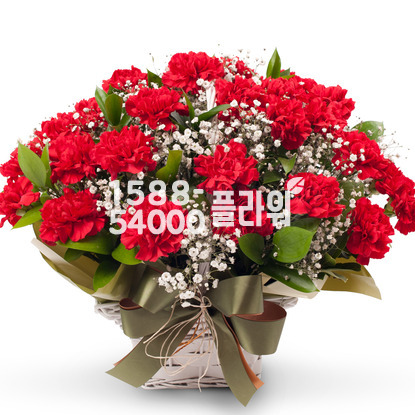 카네이션♥끝없는사랑