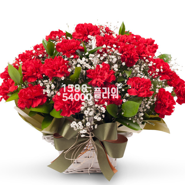 카네이션♥끝없는사랑