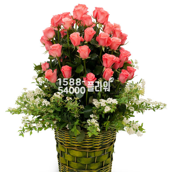 내 사랑 여인이여~