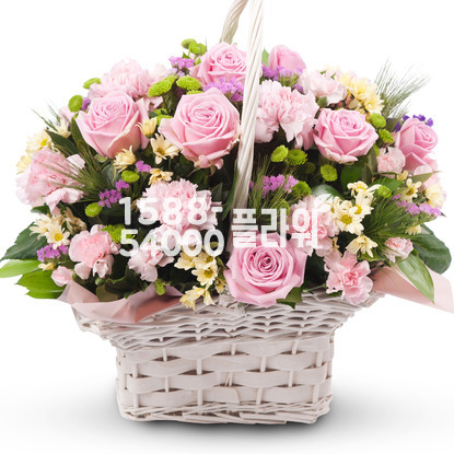 핑크 2호