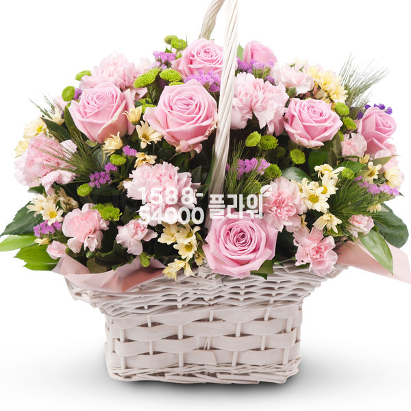 핑크 2호