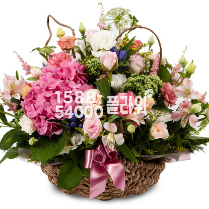 기쁜나날들♥인기상품