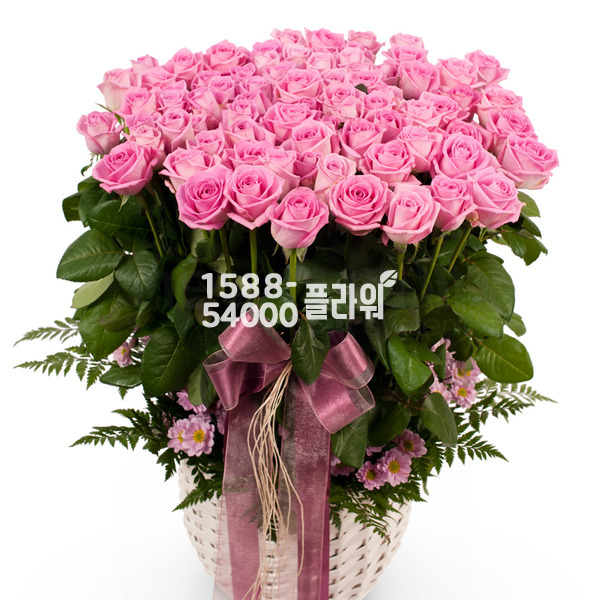 아침같은 사랑(100송이)