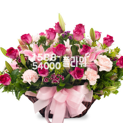 좋은걸 어떡해