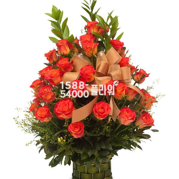 주황장미 바구니
