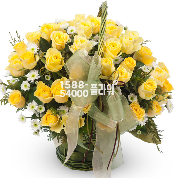엘로 5호