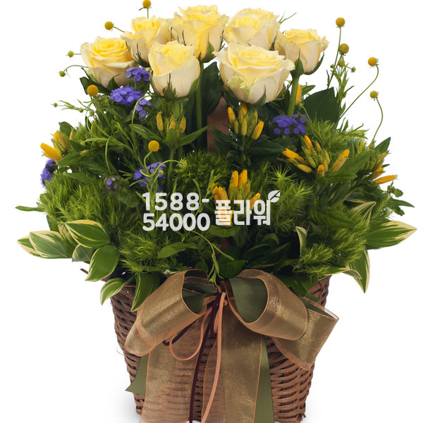 옐로우톤바구니