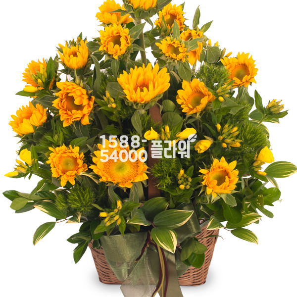 해바라기바구니2
