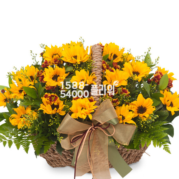 해바라기바구니6