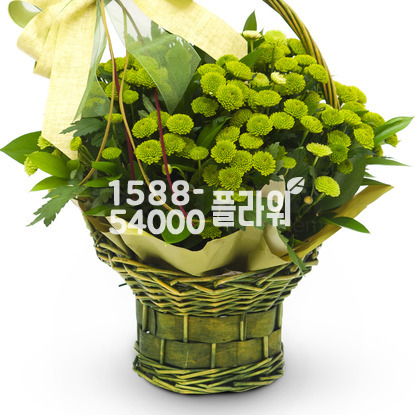꽃바구니(꽃행복176호)